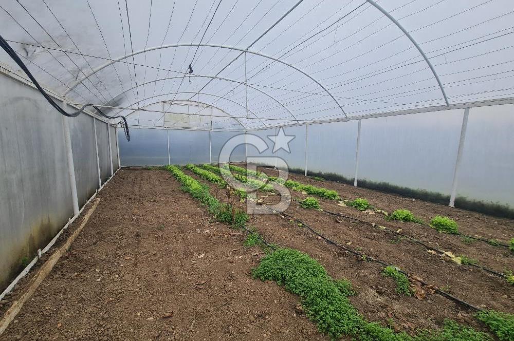 Çatalca kaleiçi ,nde satılık muhteşem villa