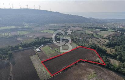 ÇANAKKALE ÇINARLI KÖYÜ ÇINARLIBAHÇE KONUT YAPI KOOP. SATILIK HİSSE