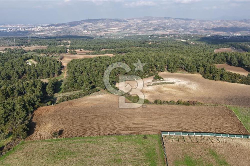 ÇANAKKALE ÇINARLI KÖYÜ ÇINARLIBAHÇE KONUT YAPI KOOP. SATILIK HİSSE