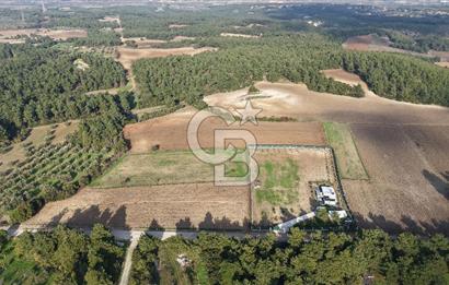 ÇANAKKALE ÇINARLI KÖYÜ ÇINARLIBAHÇE KONUT YAPI KOOP. SATILIK HİSSE