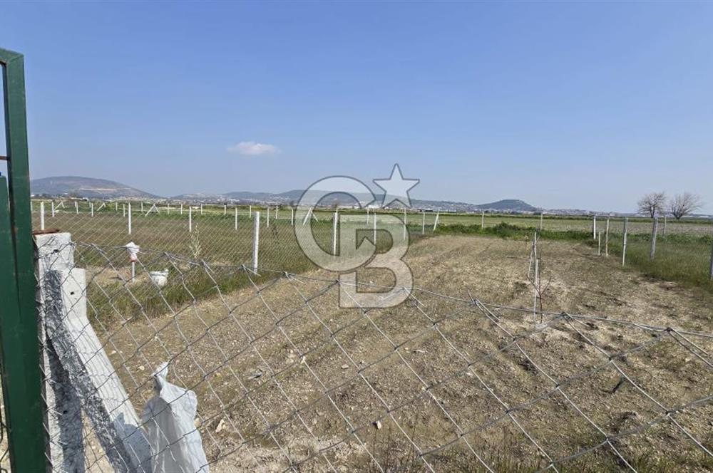 Foça Gerenköy'de Satılık Tarla