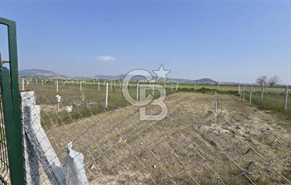 Foça Gerenköy'de Satılık Tarla