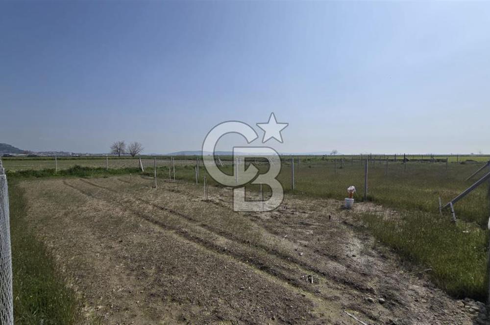 Foça Gerenköy'de Satılık Tarla