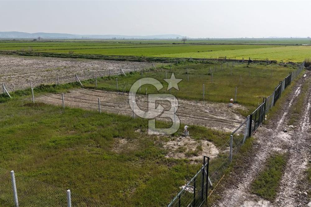 Foça Gerenköy'de Satılık Tarla