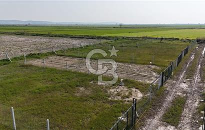 Foça Gerenköy'de Satılık Tarla