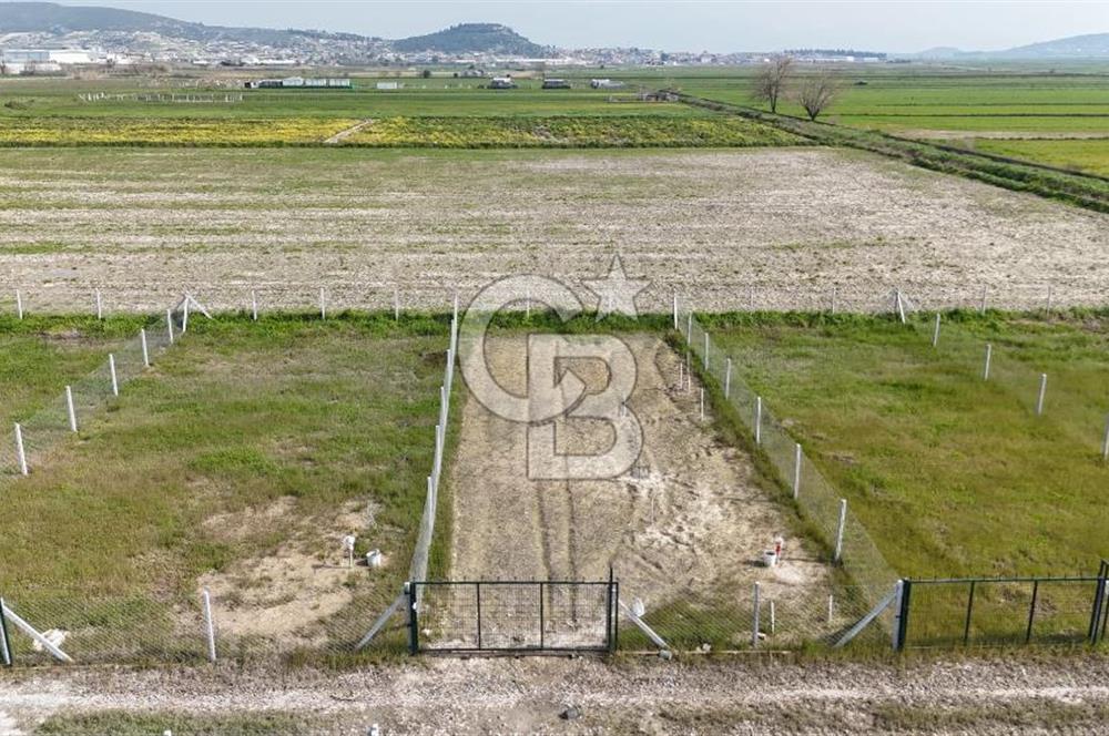 Foça Gerenköy'de Satılık Tarla