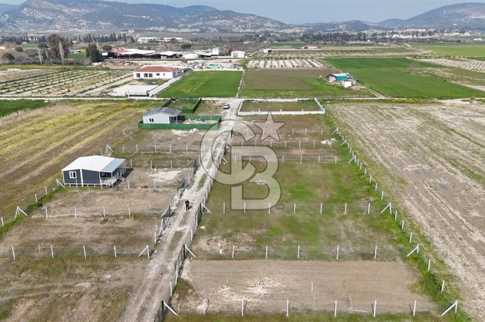 Foça Gerenköy'de Satılık Tarla