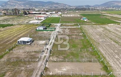 Foça Gerenköy'de Satılık Tarla