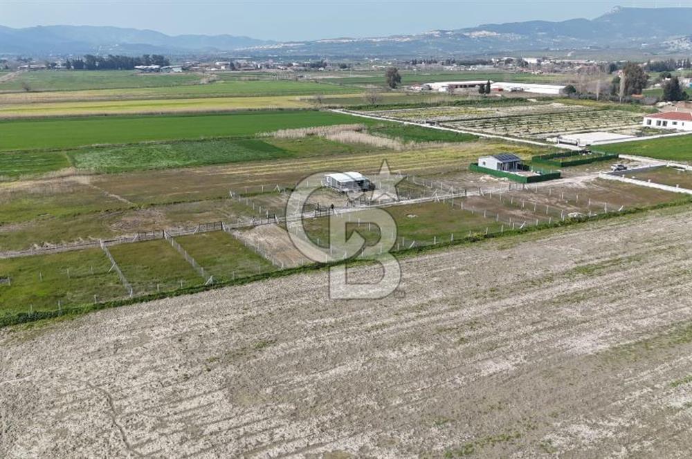 Foça Gerenköy'de Satılık Tarla