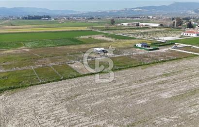 Foça Gerenköy'de Satılık Tarla