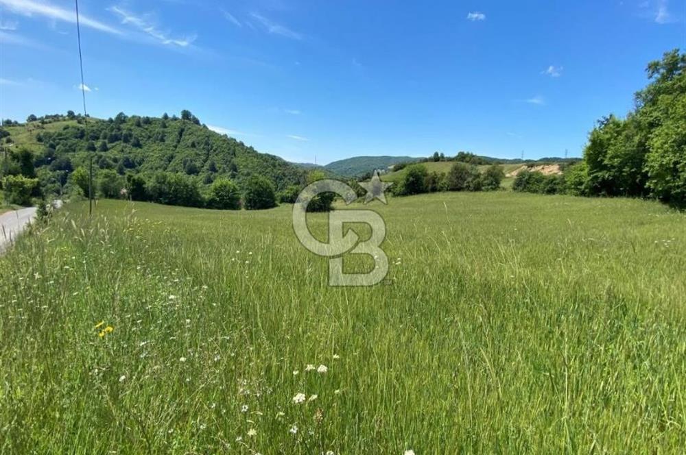 ŞİLE HASANLI'DA 500 M2 TURİZM AMAÇLI VİLLA İMARLI ARSA