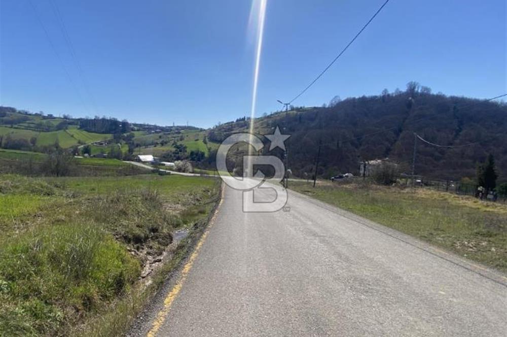 ŞİLE HASANLI'DA 500 M2 TURİZM AMAÇLI VİLLA İMARLI ARSA