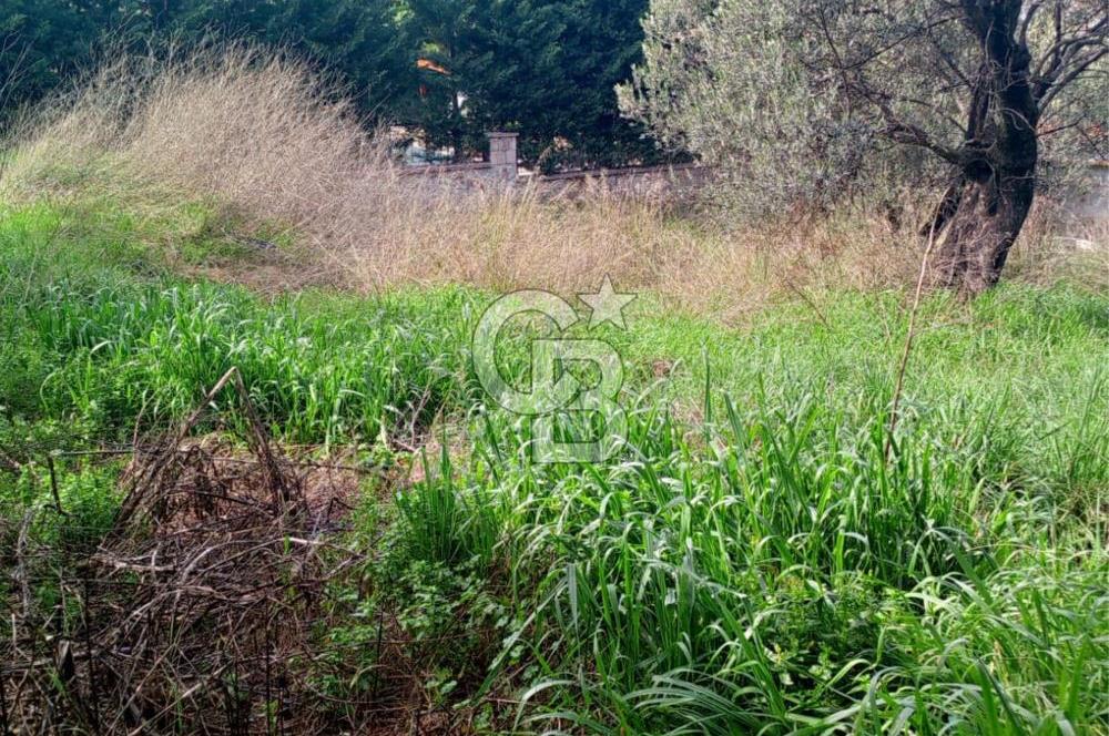 AYVALIK SAHİLKENTTE 2 KAT VİLLA İMARLI 273 m² MÜSTAKİL PARSEL