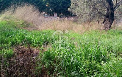 AYVALIK SAHİLKENTTE 2 KAT VİLLA İMARLI 273 m² MÜSTAKİL PARSEL