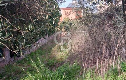 AYVALIK SAHİLKENTTE 2 KAT VİLLA İMARLI 273 m² MÜSTAKİL PARSEL