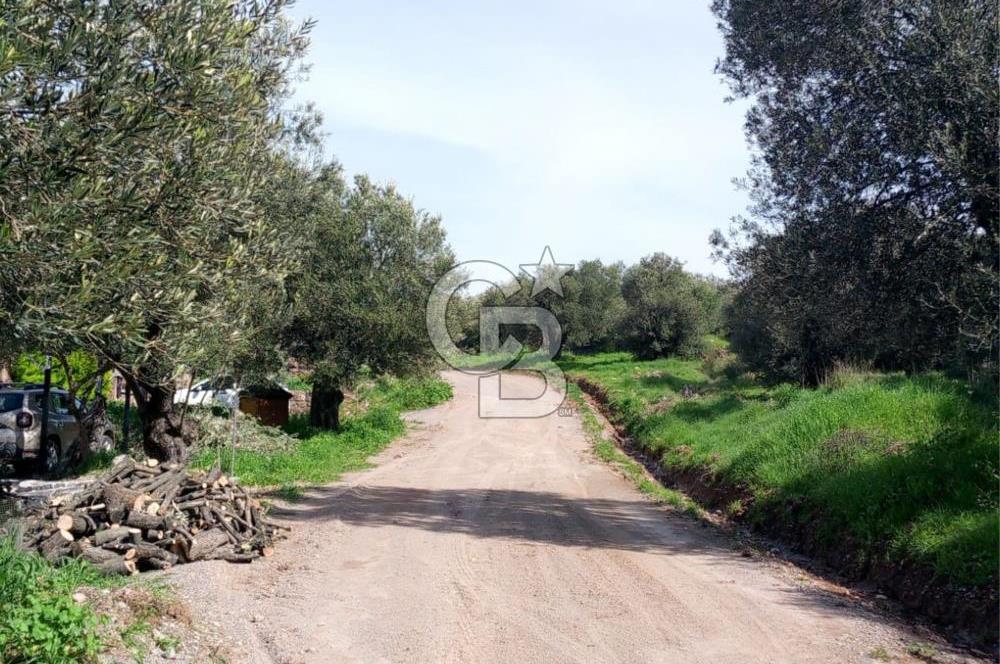 AYVALIK SAHİLKENTTE 2 KAT VİLLA İMARLI 273 m² MÜSTAKİL PARSEL