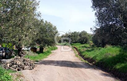 AYVALIK SAHİLKENTTE 2 KAT VİLLA İMARLI 273 m² MÜSTAKİL PARSEL