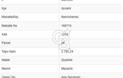 AYVALIK CUNDA ADASINDA 2.785 m² SATILIK ZEYTİNLİK