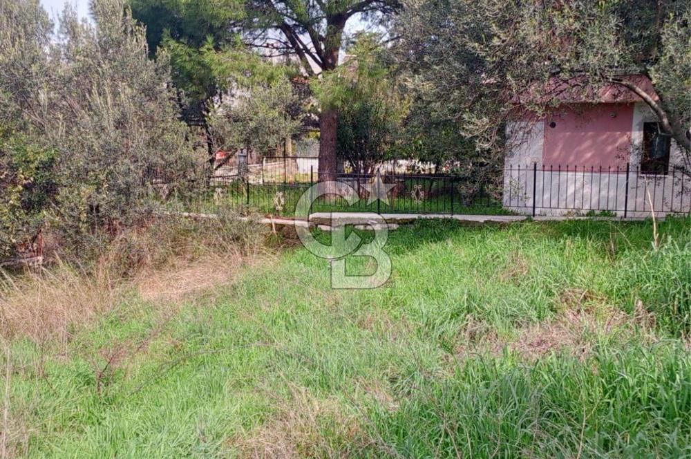 AYVALIK SAHİLKENTTE 2 KAT VİLLA İMARLI 273 m² MÜSTAKİL PARSEL