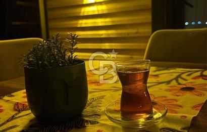 AYVALIKTA FULL DONANIM LÜX TINY HOUSE + 200 m² ARSA FIRSATI