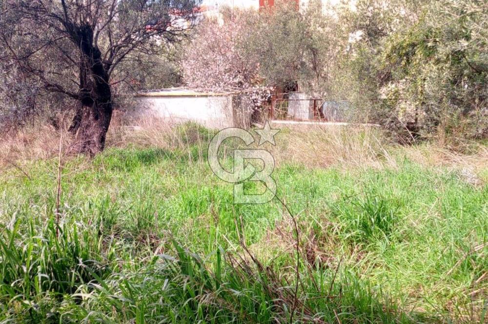 AYVALIK SAHİLKENTTE 2 KAT VİLLA İMARLI 273 m² MÜSTAKİL PARSEL