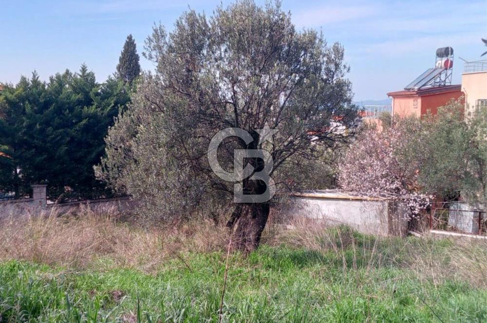 AYVALIK SAHİLKENTTE 2 KAT VİLLA İMARLI 273 m² MÜSTAKİL PARSEL