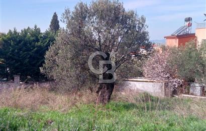 AYVALIK SAHİLKENTTE 2 KAT VİLLA İMARLI 273 m² MÜSTAKİL PARSEL