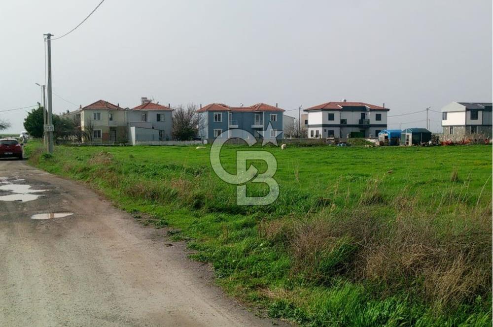 AYVALIK ALTINOVA SAHİL BÖLGESİNDE KÖŞE KONUM VİLLA ARSASI