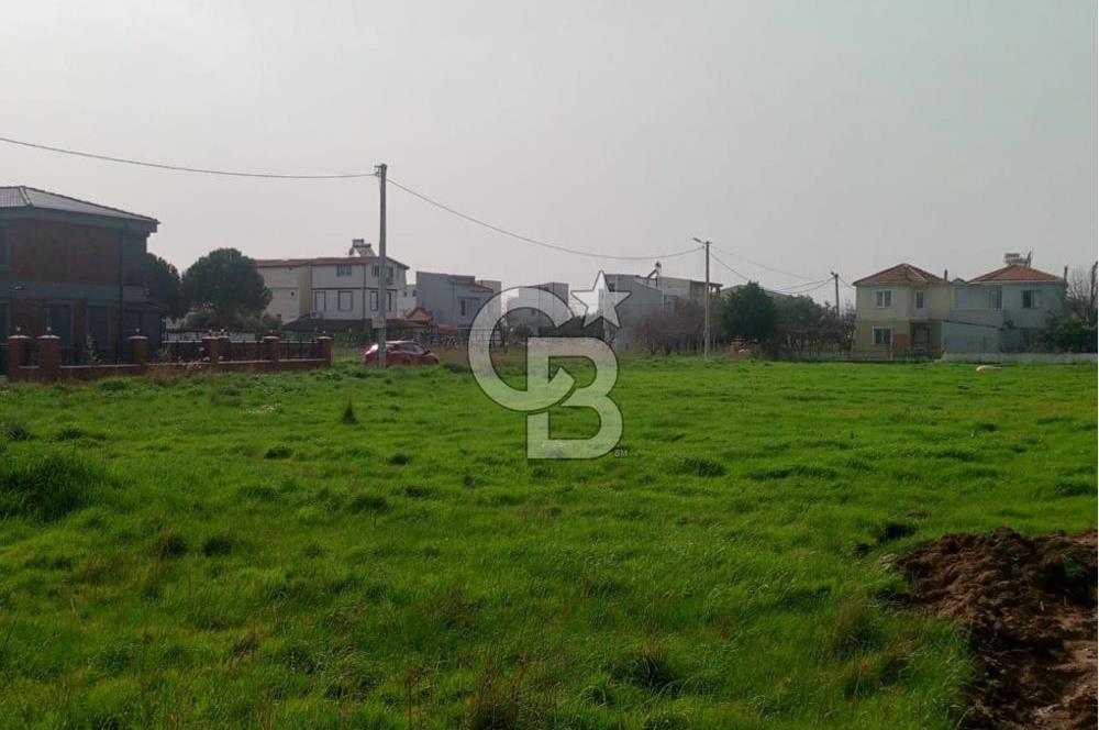 AYVALIK ALTINOVA SAHİL BÖLGESİNDE KÖŞE KONUM VİLLA ARSASI