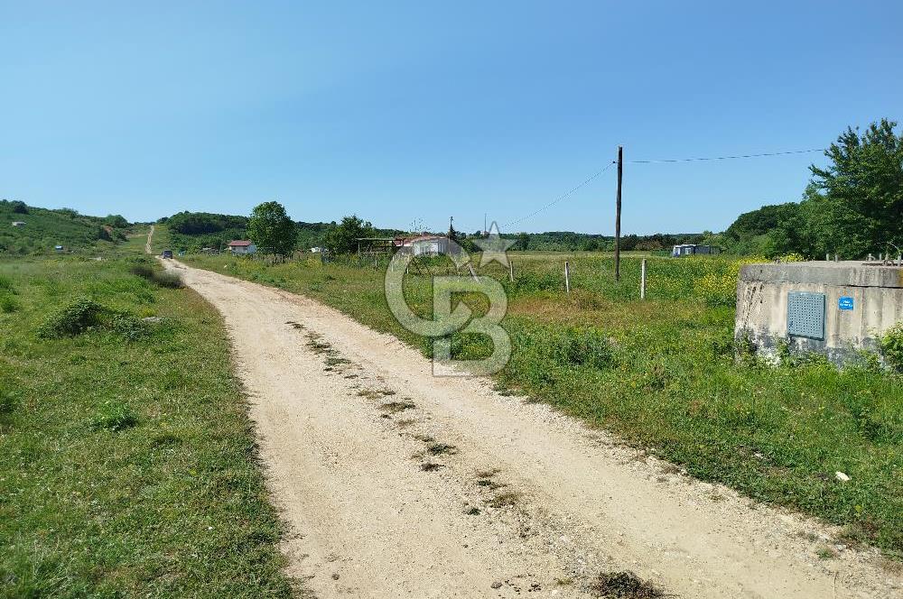 BALIKESİR İVRİNDİ ORMAN KENARI ACİL SATILIK2.397 M2