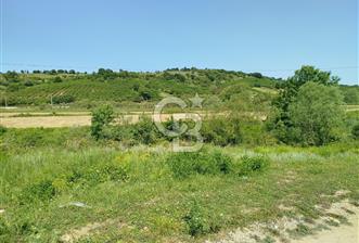 BALIKESİR İVRİNDİ ORMAN KENARI ACİL SATILIK2.397 M2 - 5 - 337904