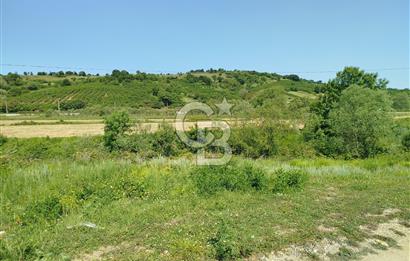 BALIKESİR İVRİNDİ ORMAN KENARI ACİL SATILIK2.397 M2