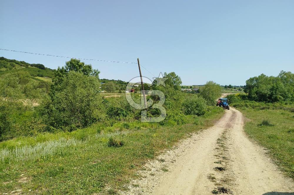 BALIKESİR İVRİNDİ ORMAN KENARI ACİL SATILIK2.397 M2