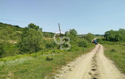 BALIKESİR İVRİNDİ ORMAN KENARI ACİL SATILIK2.397 M2