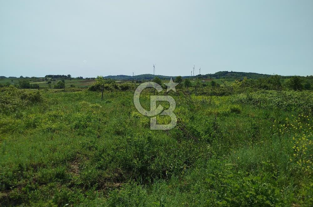 BALIKESİR İVRİNDİ ORMAN KENARI ACİL SATILIK2.397 M2