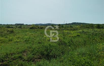 BALIKESİR İVRİNDİ ORMAN KENARI ACİL SATILIK2.397 M2