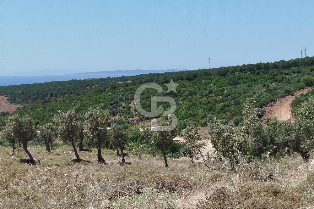 KAT KARŞILIĞI SATILIK DENİZ MANZARALI 7.000 M2 DEĞERLİ LOKASYON