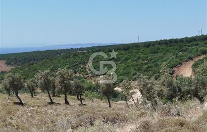 KAT KARŞILIĞI SATILIK DENİZ MANZARALI 7.000 M2 DEĞERLİ LOKASYON