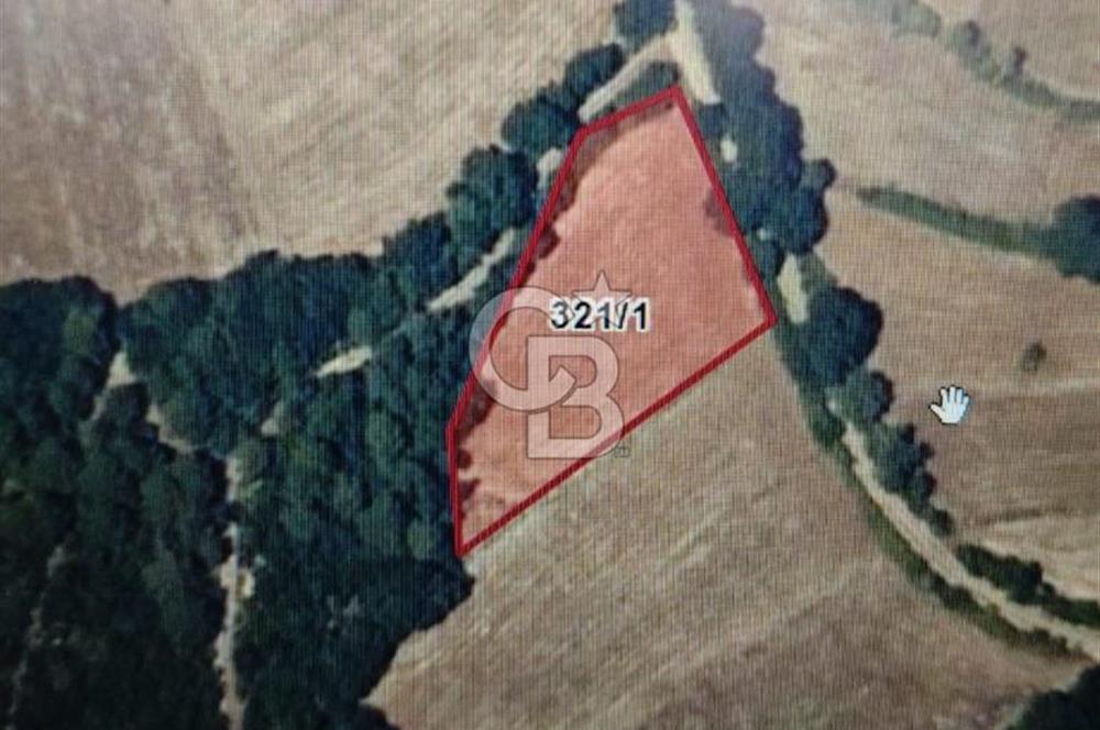 BALIKESİR İVRİNDİ ORMAN KENARI ACİL SATILIK2.397 M2