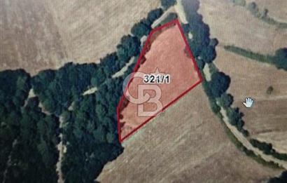 BALIKESİR İVRİNDİ ORMAN KENARI ACİL SATILIK2.397 M2