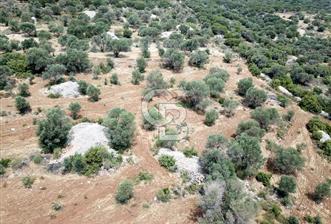 MORDOĞAN SATILIK DENİZ MANZARALI FIRSAT ARSA - 7 - 337888