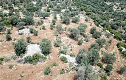 MORDOĞAN SATILIK DENİZ MANZARALI FIRSAT ARSA