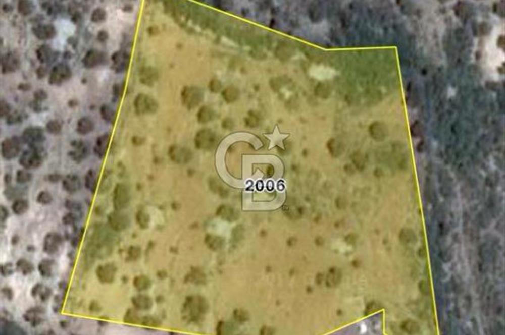 MORDOĞAN SATILIK DENİZ MANZARALI FIRSAT ARSA