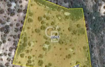 MORDOĞAN SATILIK DENİZ MANZARALI FIRSAT ARSA