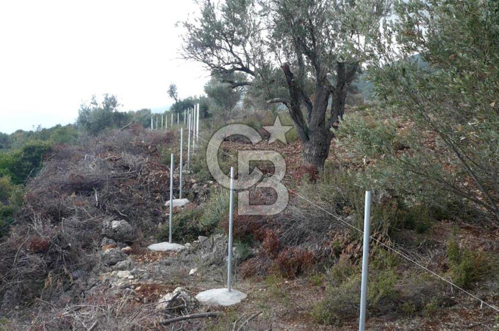 MORDOĞAN SATILIK DENİZ MANZARALI FIRSAT ARSA