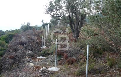 MORDOĞAN SATILIK DENİZ MANZARALI FIRSAT ARSA