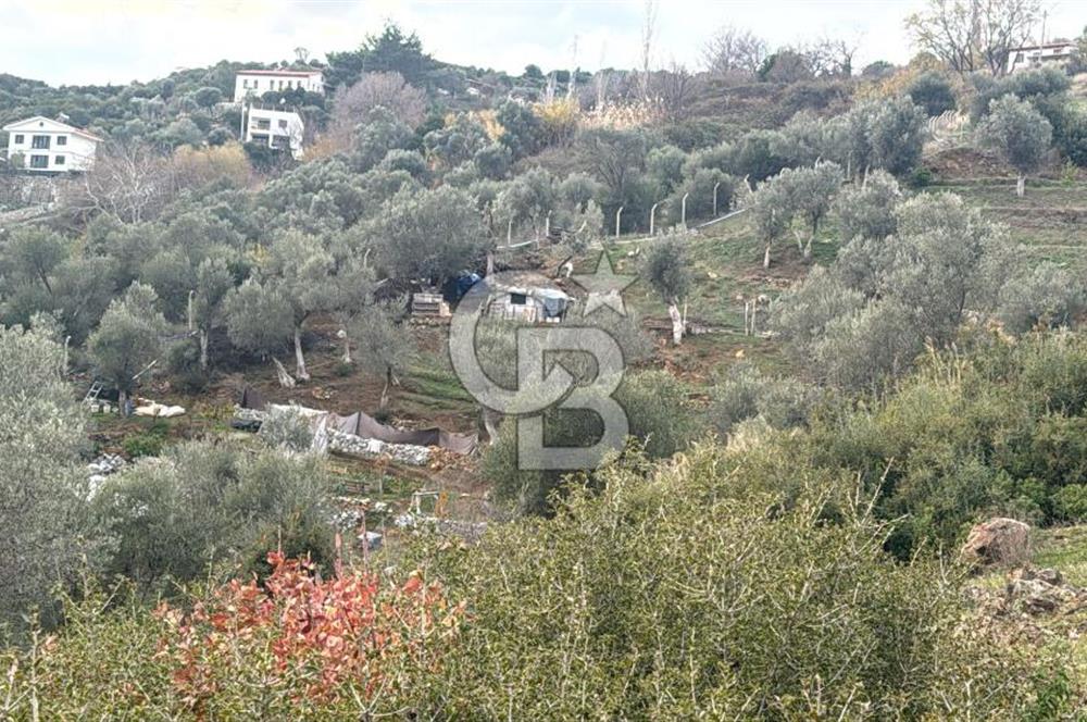 Seferihisar Orhanlı'da İmarlı Arsa Bitişiği Satılık Arazi