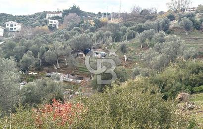 Seferihisar Orhanlı'da İmarlı Arsa Bitişiği Satılık Arazi