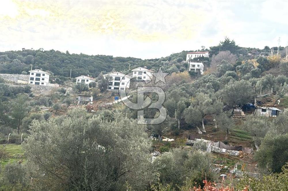 Seferihisar Orhanlı'da İmarlı Arsa Bitişiği Satılık Arazi