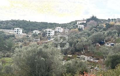 Seferihisar Orhanlı'da İmarlı Arsa Bitişiği Satılık Arazi